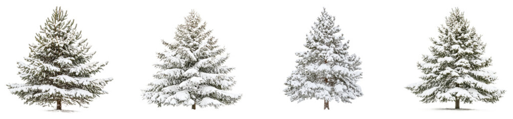 Snow-covered pine trees in a winter landscape during daylight hours. Set of png on transparent background