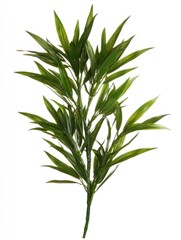 Fototapeta premium A realistic artificial plant branch with green leaves for decoration or landscaping.