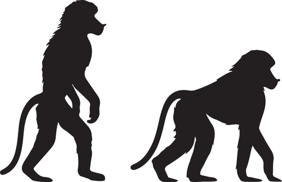 baboon animals silhouette vector art illustration.