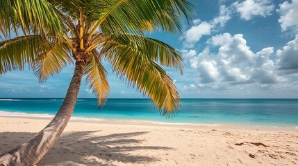 Fototapeta premium Cruise To Caribbean With Palm tree On Coral Beach. 