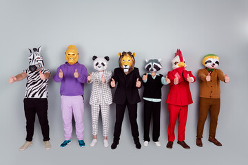 Full size photo of zebra gorilla raccoon lion panda sloth rooster mask people show thumb up...