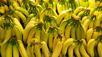 Cachos de banana