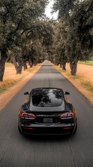 Sleek black car driving down a scenic tree-lined road