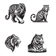 Tigers - wild animals, vector design of tigers 
