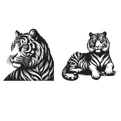 Tigers - wild animals, vector design of tigers 