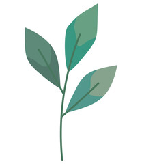 green leaves plant natural