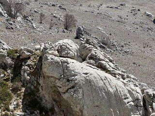 Limestone rocks on southern Velebit, Jasenice (Velebit Nature Park, Croatia) - Kalksteinfelsen im...