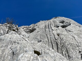 Limestone rocks on southern Velebit, Jasenice (Velebit Nature Park, Croatia) - Kalksteinfelsen im...