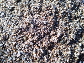 Texture of dry sand on the beach. Dry beige sand. Light fine grain sand texture background. Sand close-up.