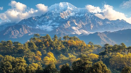 Fototapeta premium Majestic snow-capped mountain peak rising above a forest with golden autumn foliage under a clear blue sky.