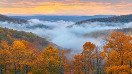 Fototapeta premium A stunning landscape featuring autumn foliage with misty valleys beneath a colorful sunrise, capturing the serenity of nature.