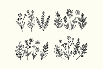 Set of Herbs and Wild Flowers vector .eps