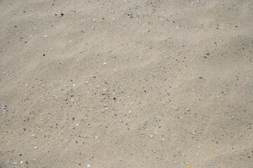 Sandy beach next to the sea with crushed seashells