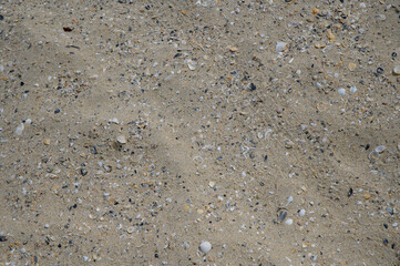 Sand by the sea with crushed shells