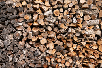 Legnaia - tronchi tagliati