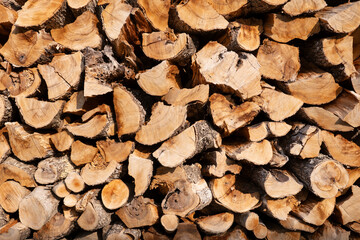 Legnaia - dettaglio tronchi