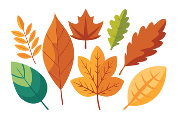 Collection of autumn leaves isolated flat vector illustration on white background.