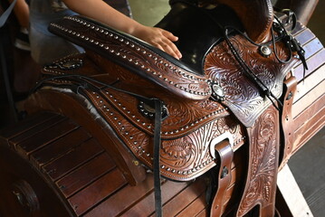 Zoo near you! Fill the Nature. Enjoy your life at Zoo today with me