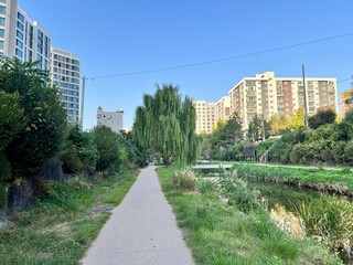 the natural scenery of the river in the city