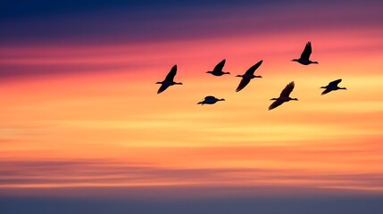 Obraz premium Geese Flying Sunset Sky