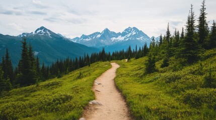 A tranquil path through lush greenery leads to majestic mountains under a cloudy sky, ideal for nature lovers and hikers.
