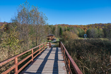 Fototapeta premium A legendary twelve-ton boulder Blue stone in the National Park 