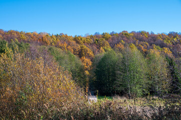 A legendary twelve-ton boulder Blue stone in the National Park "Pleshcheyevo lake" near Pereslavl-Zalessky, Russia. Ritual object of pagan Russia.
