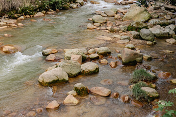 Brown rocky river stream
