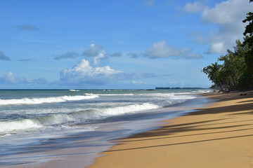 Beach and sea.