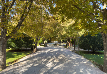 Path at a city park. Footpath through green trees, blue sky