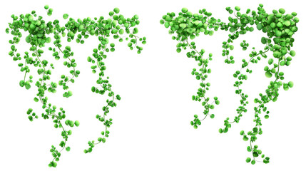 Fototapeta premium Stunning Collection of Green Creepers on a Transparent Background Generative AI