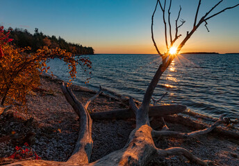 721-53 Deadfall Sunset