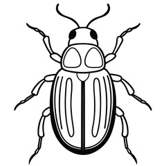 beetle vector illustration black and white 