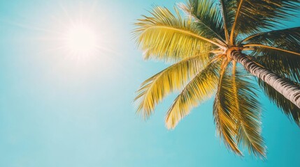 A vibrant palm tree against a clear blue sky, radiating warmth and inviting relaxation under the bright sun.