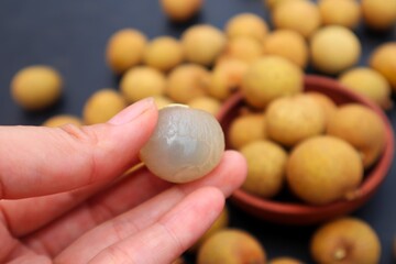 Woman's hand holding longan fruit or Dimocarpus longan, on a dark background, with close view.
