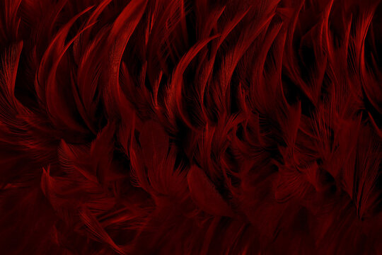 Beautiful dark red bird feathers pattern texture background.
