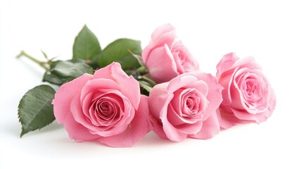 Obraz premium Romantic Elegance A Pink Rose Bouquet Against a White Background Celebrating Love and Nature
