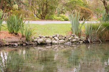 Shoreline of a Small Creek in a Park: Serene Nature Scene