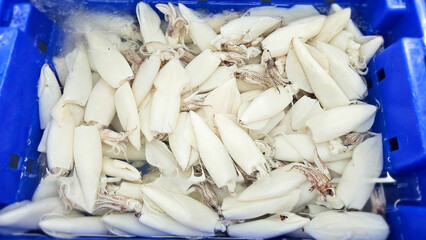 Fresh Catch of Squid: A vibrant blue plastic crate overflows with glistening, freshly caught squid, ready for processing or market.