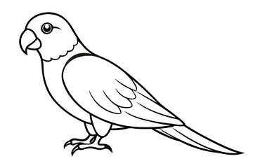parrot isolated on white
