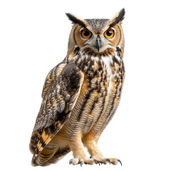 Naklejka premium Majestic Owl Perched in Natural Habitat, isolated, transparent background, white background, no background