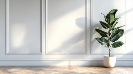 White panel wall with a rubber tree plant and wooden flooring in a 3D interior illustration