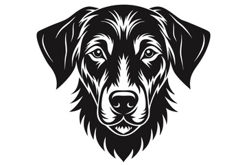 Fototapeta premium portrait of a dog