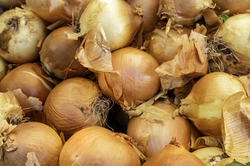 Onions in a market