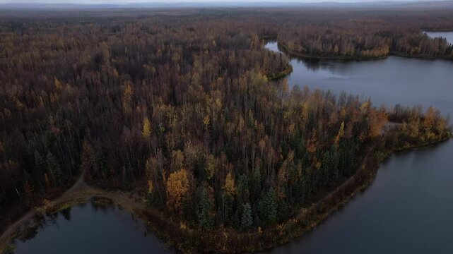 Drone aerial of Chena Lake, in Alaska with beautiful autumn colors