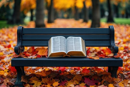 Open book resting on park bench covered with autumn leaves