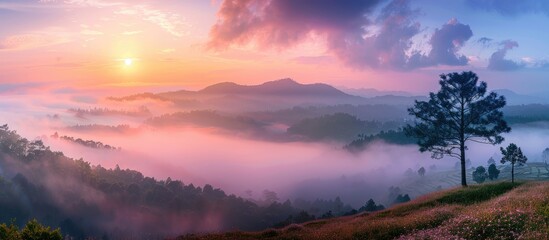 Fototapeta premium Tree And Forest And Grass With Sea Of Fog At The Mountain In Sunrise The Morning