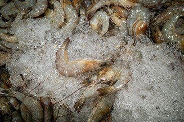 Udang, fresh shrimp, Littopenaeus vannamei, on the ice in the supermarket in Yogyakarta, Indonesia