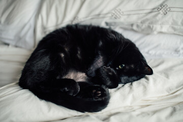 cute black cat curled up on white bed with belly showing and one open green eye