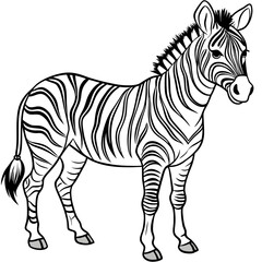  Zebra